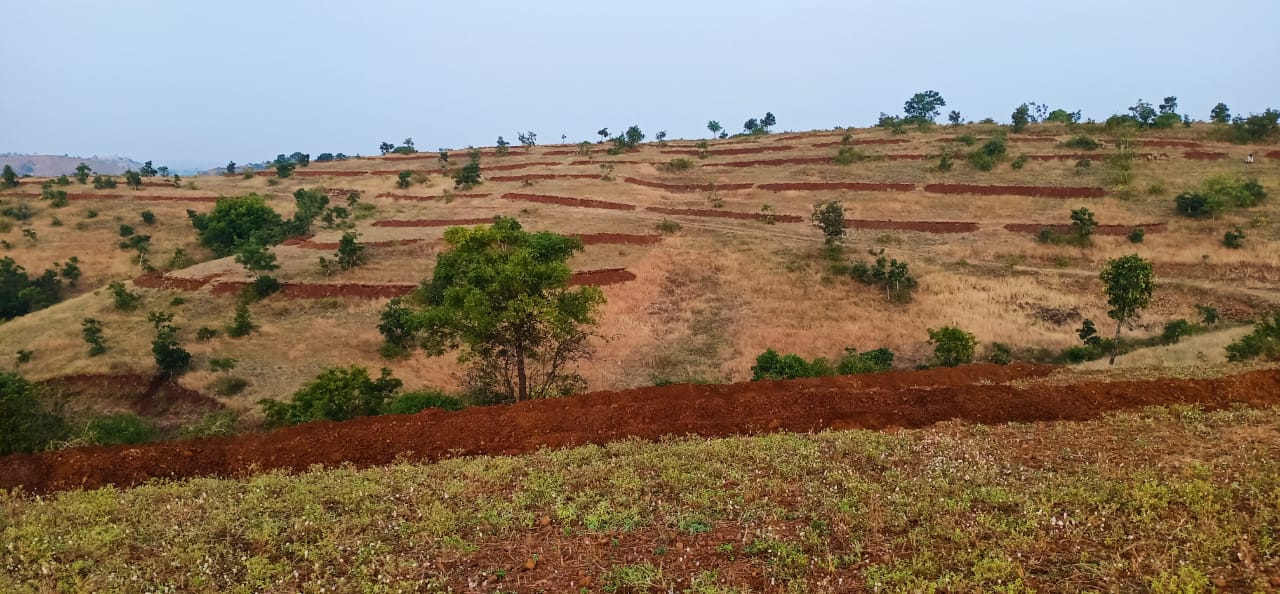 Janvikas Samajik Sanstha