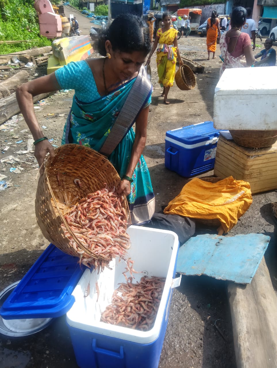 WhatsApp Image 2025-11-01 at 20.38.06